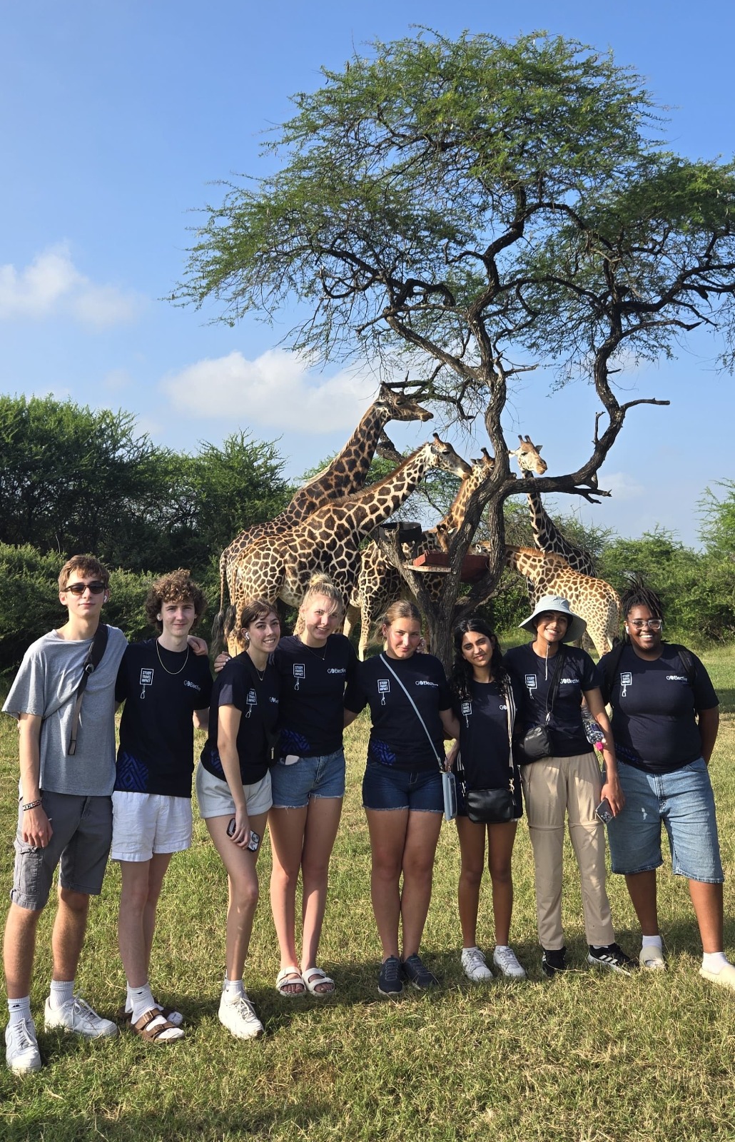 A group of Go Elective high school students beside giraffes under an acacia tree in East Africa