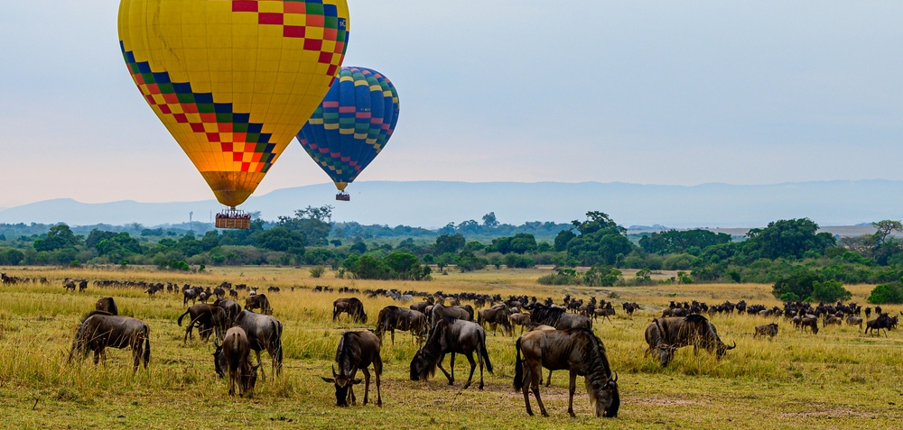 Maasai Mara 4-Day Safari Experience