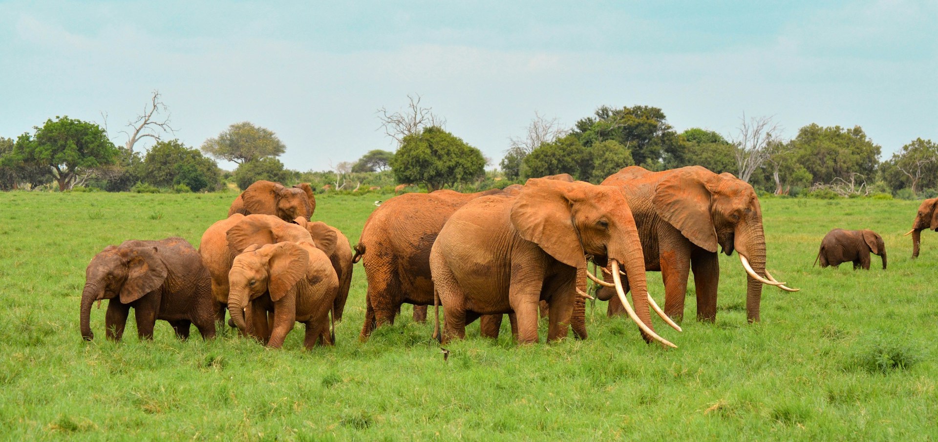 Tsavo East & Amboseli 3-Day Safari Expedition